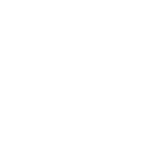 Professional Web Icon